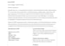 write professional business plans and feasibility reports
